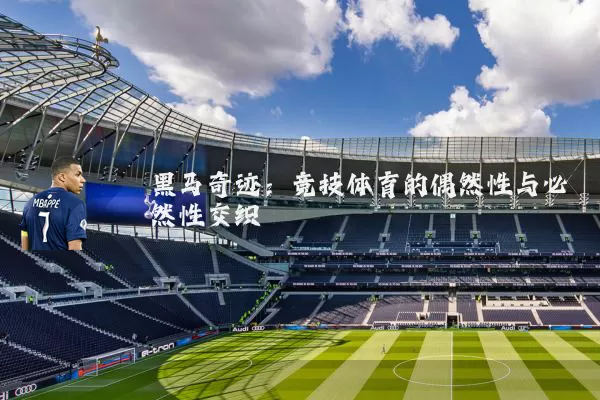 黑马奇迹:竞技体育的偶然性与必然性交织